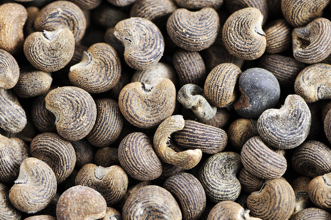 Musk seeds (Hibiscus abelmoschus), wood smoking chips