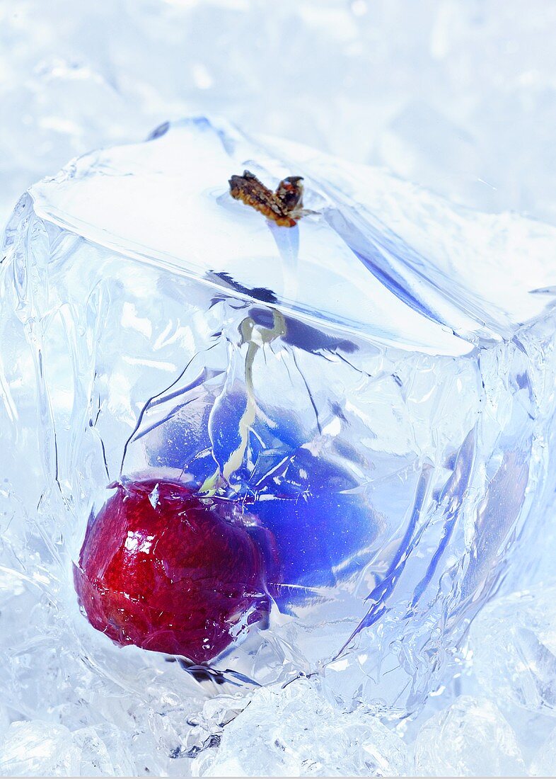 Cherry in a block of ice (close-up)