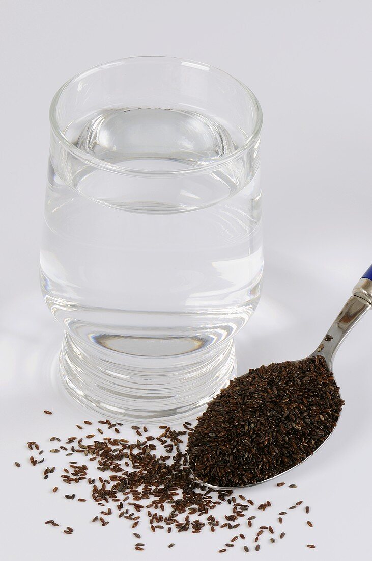 A spoonful of psyllium (flea seed) beside a glass of water