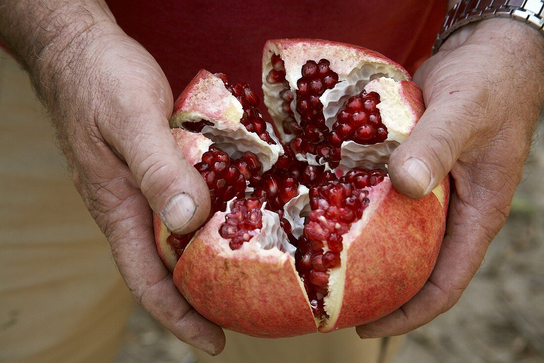 Hände halten einen aufgebrochenen Granatapfel