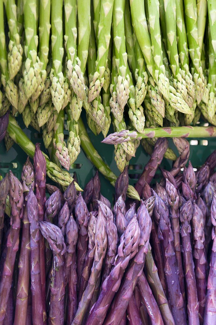 Green and purple asparagus