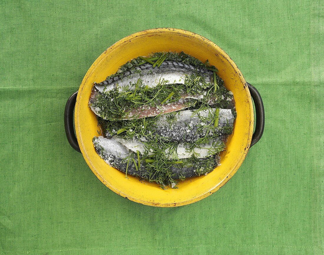 Gravad mackerel (Mackerel fillets marinated in dill, salt & sugar)
