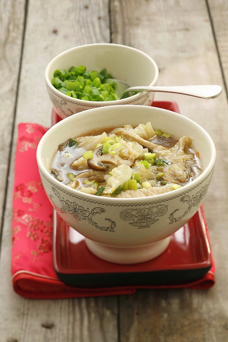 Asiatische Suppe mit Schweinefleisch, Kohl, Pilzen und Frühlingszwiebeln