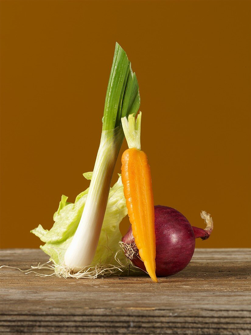 Leek, carrot, red onion and iceberg salad