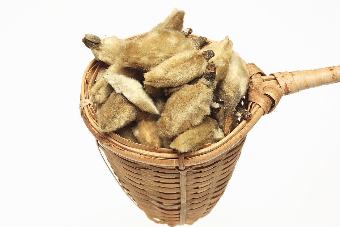 Dried magnolia buds in tea strainer