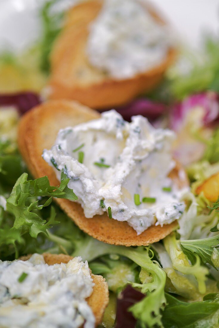 Cheese spread on toast on salad leaves (close-up)