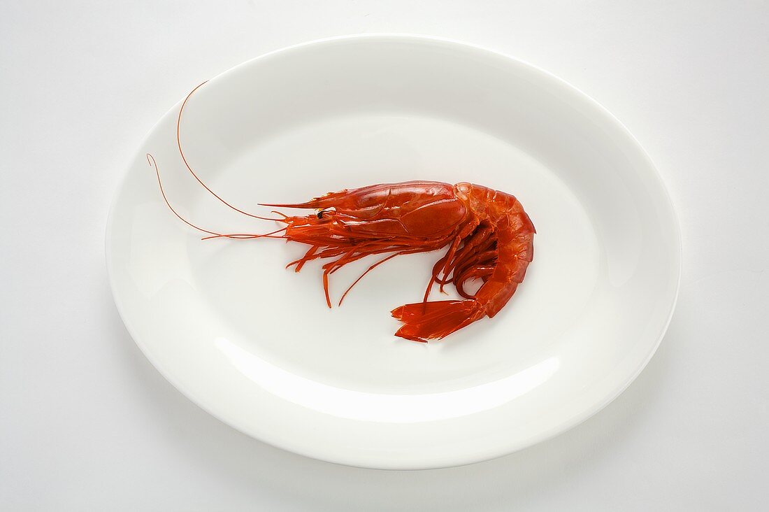 A cooked prawn on a plate