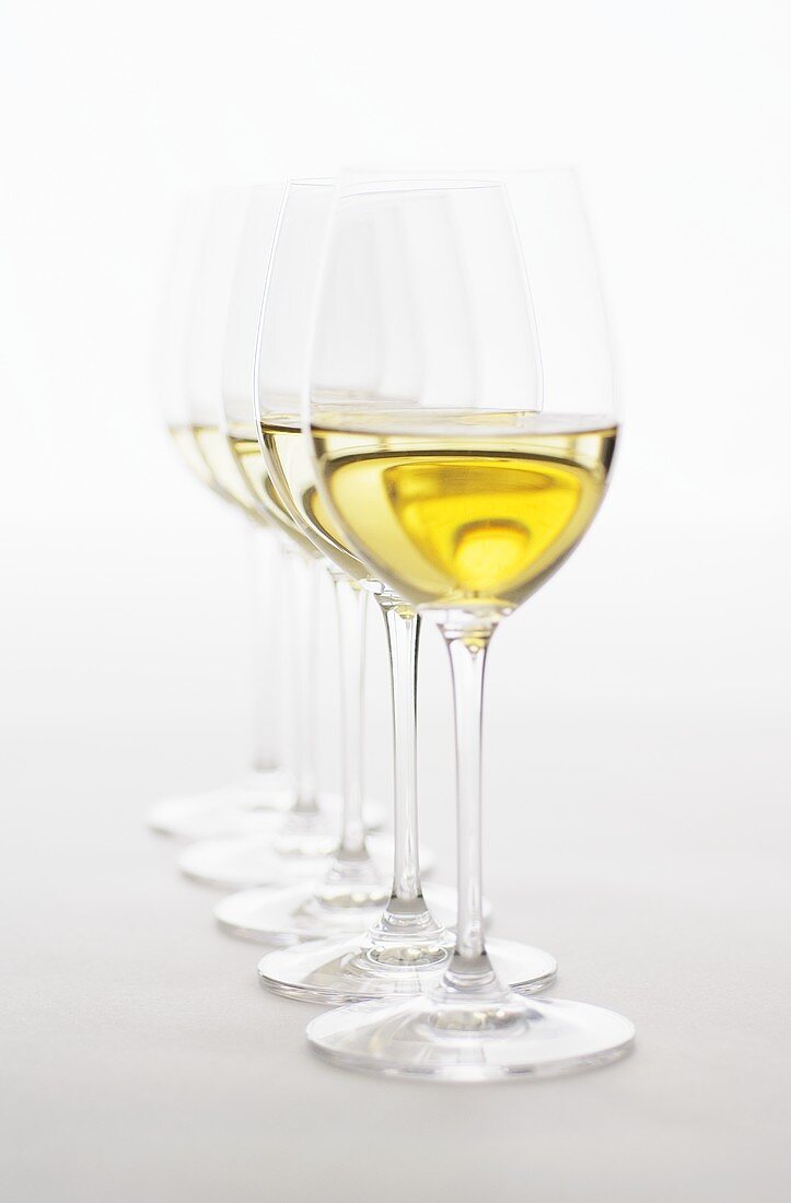 Several glasses of white wine in a row