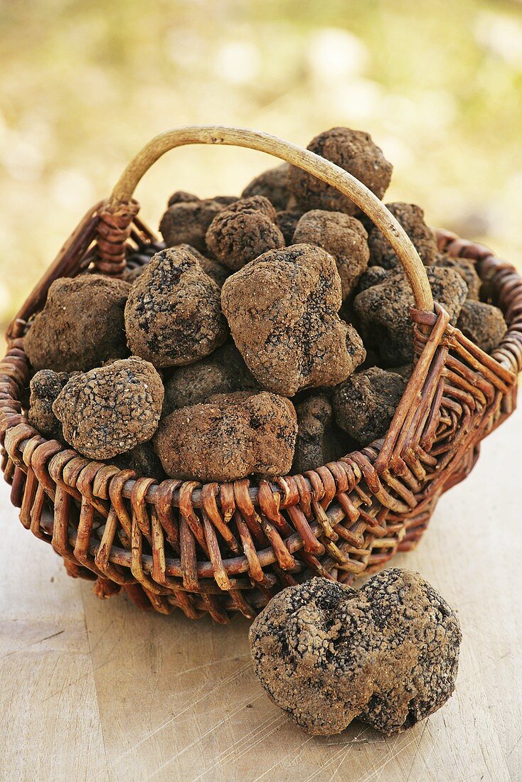 Fresh truffles in a basket