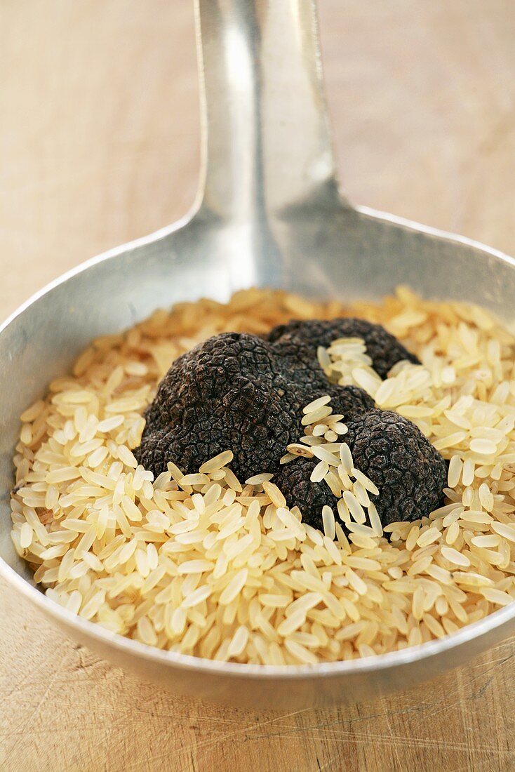Schwarze Trüffel und Reis
