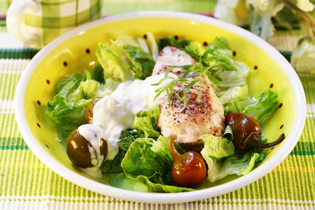 Chicken breast on lettuce with chillies and yoghurt sauce