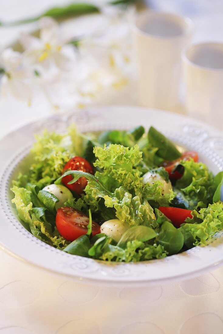 Green salad with tomatoes and mozzarella