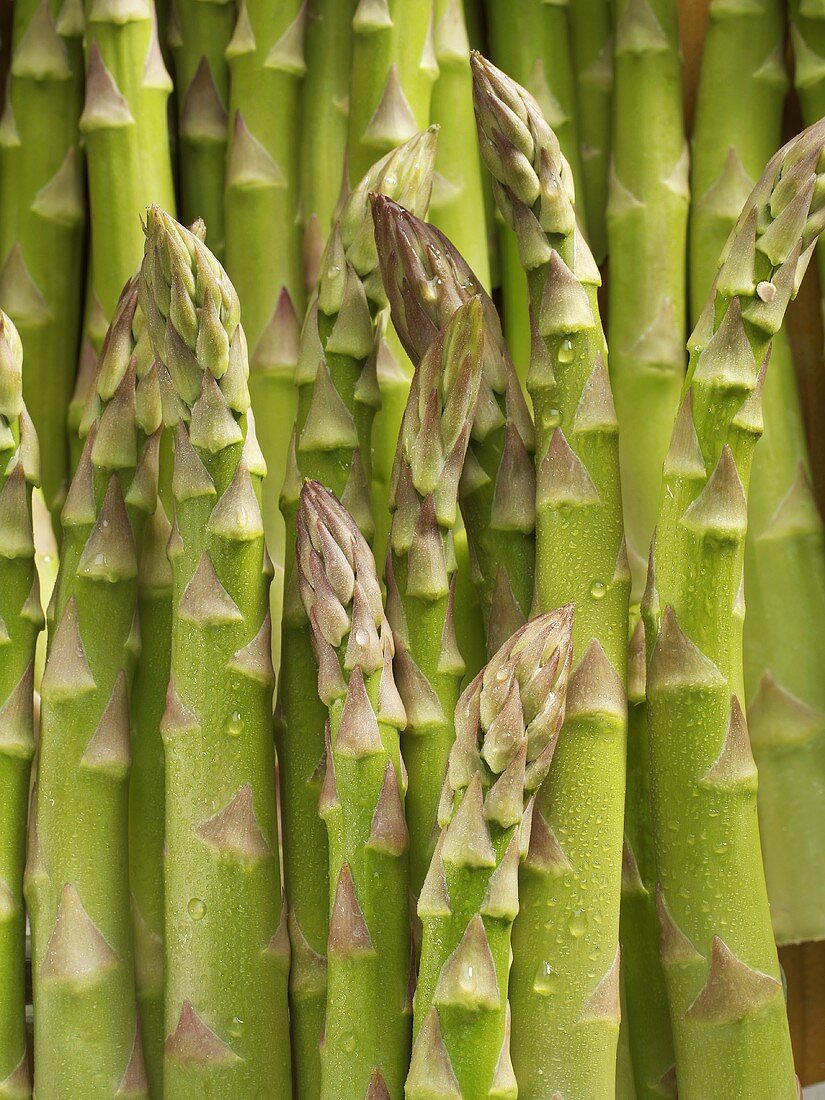 Green asparagus with drops of water (detail)