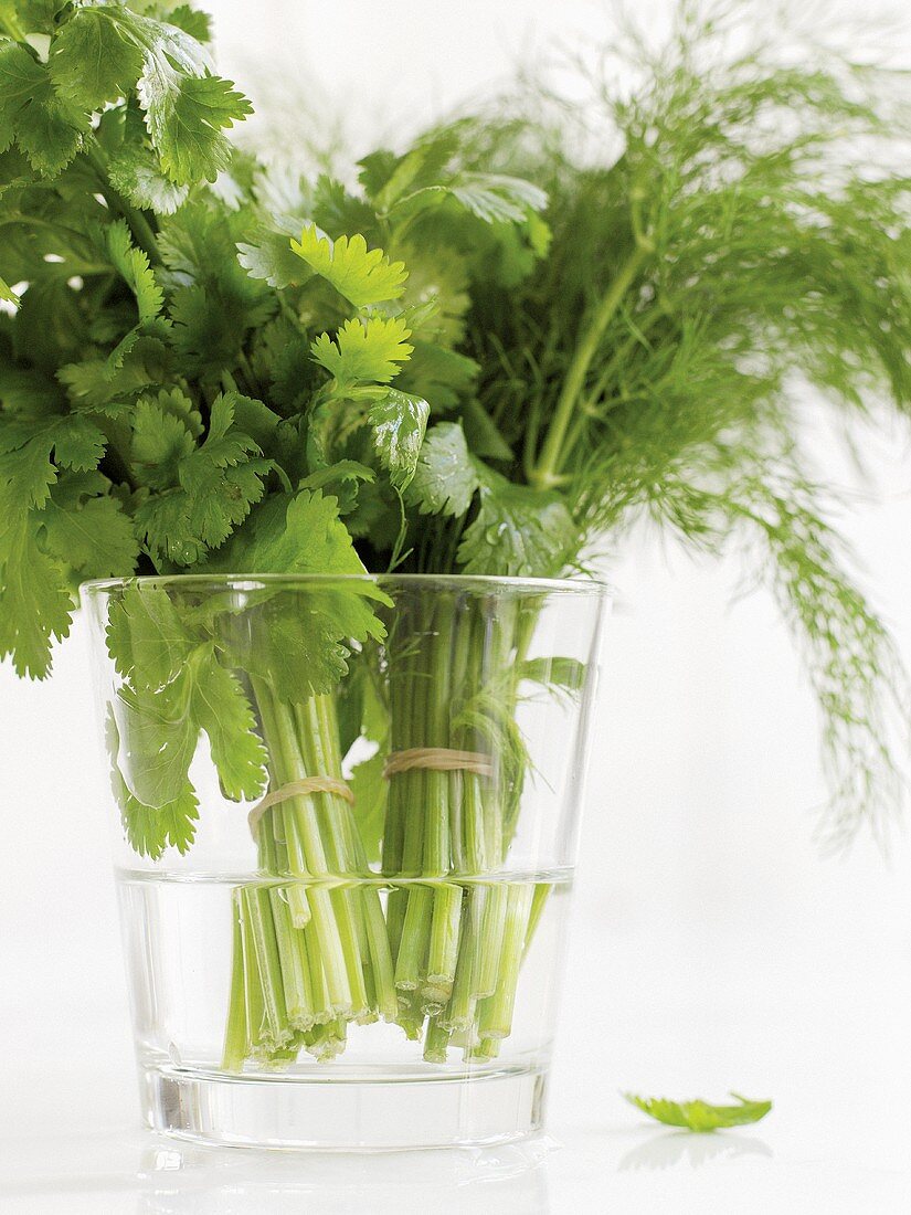 Dill and parsley in a glass of water