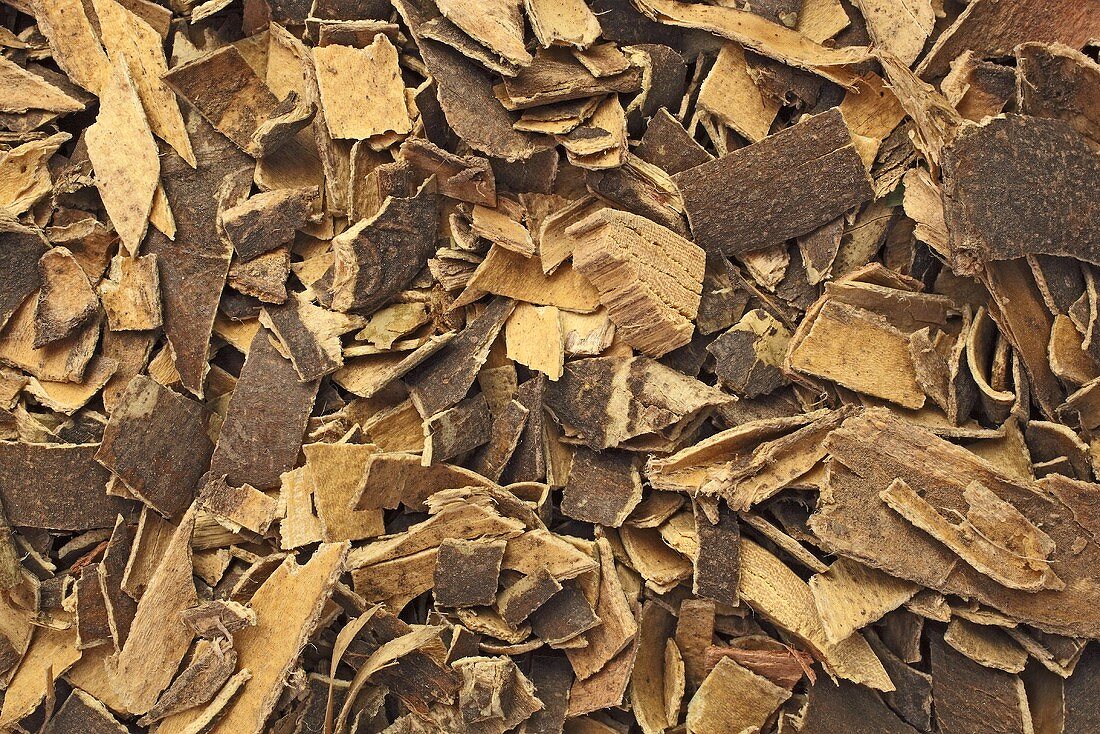Dried ash bark