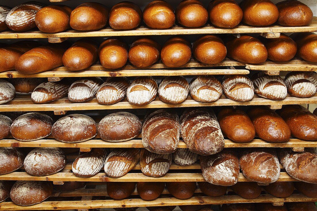 Various types of bread on wooden shelves in a bakery
