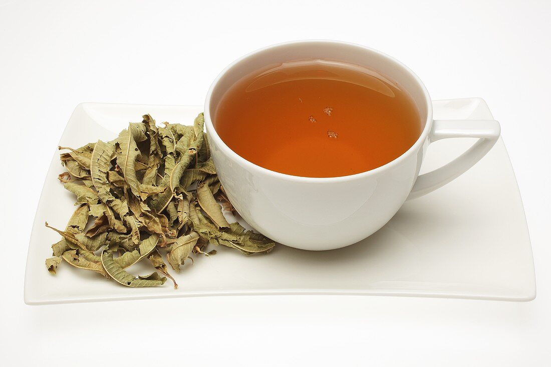 Vervain tea with dried leaves