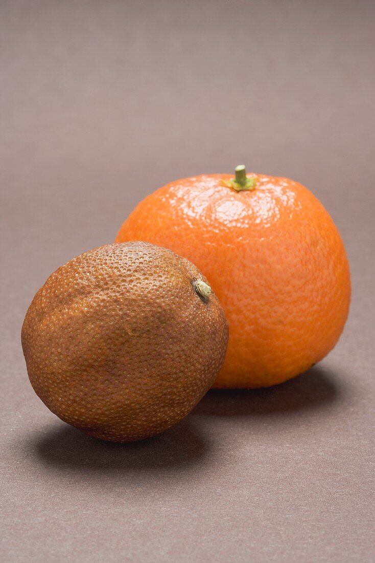 One fresh and one dried-up clementine