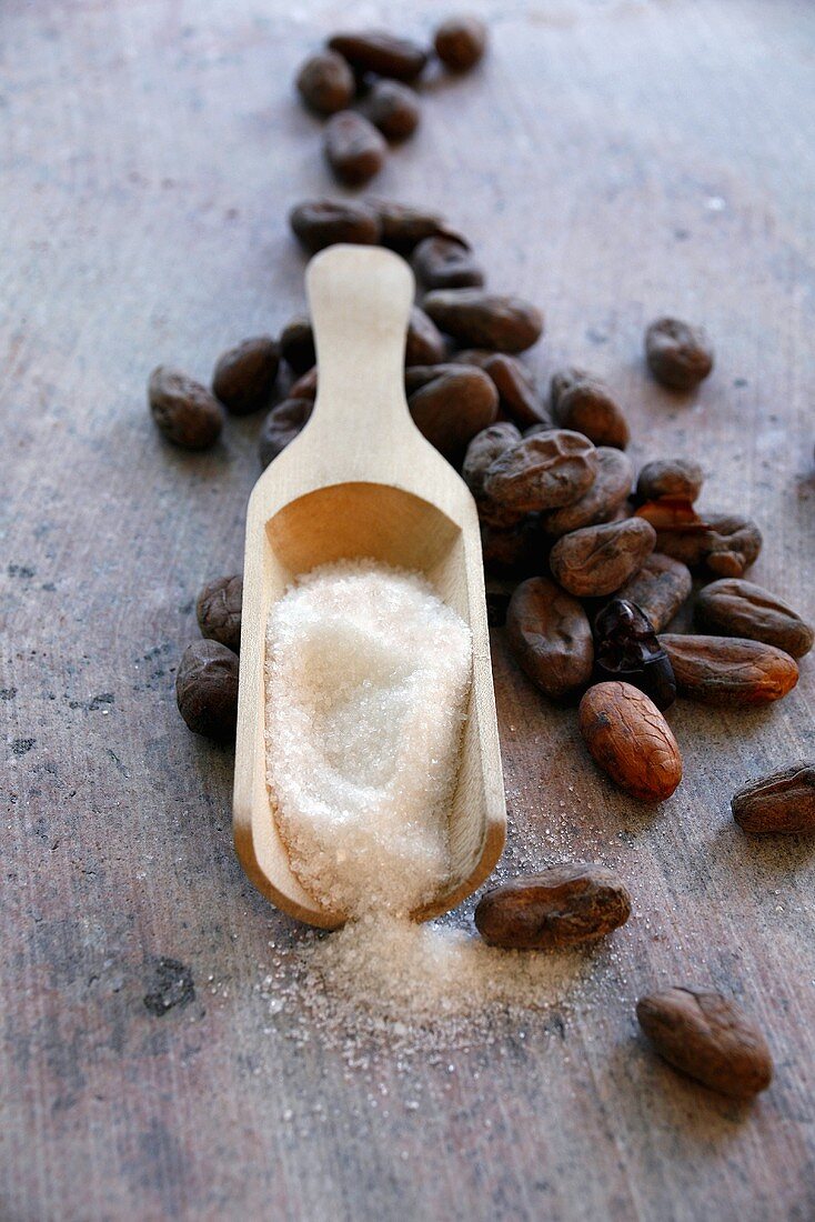 Roasted cocoa beans and sugar in a small scoop