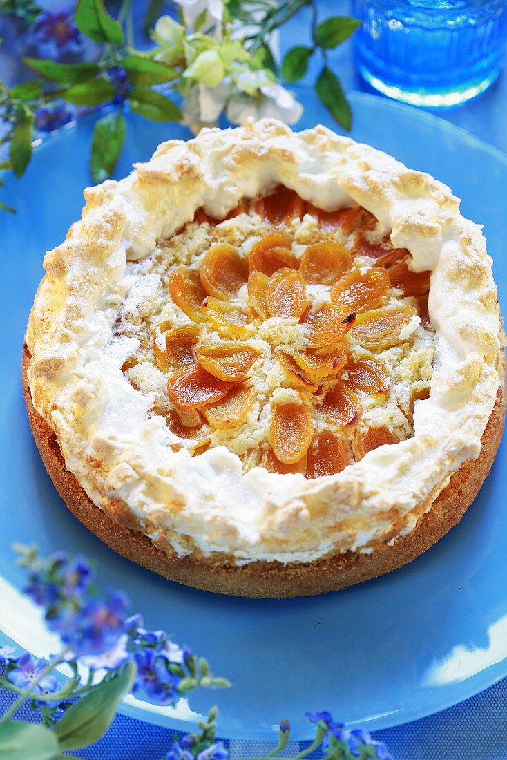 Apricot cake with meringue