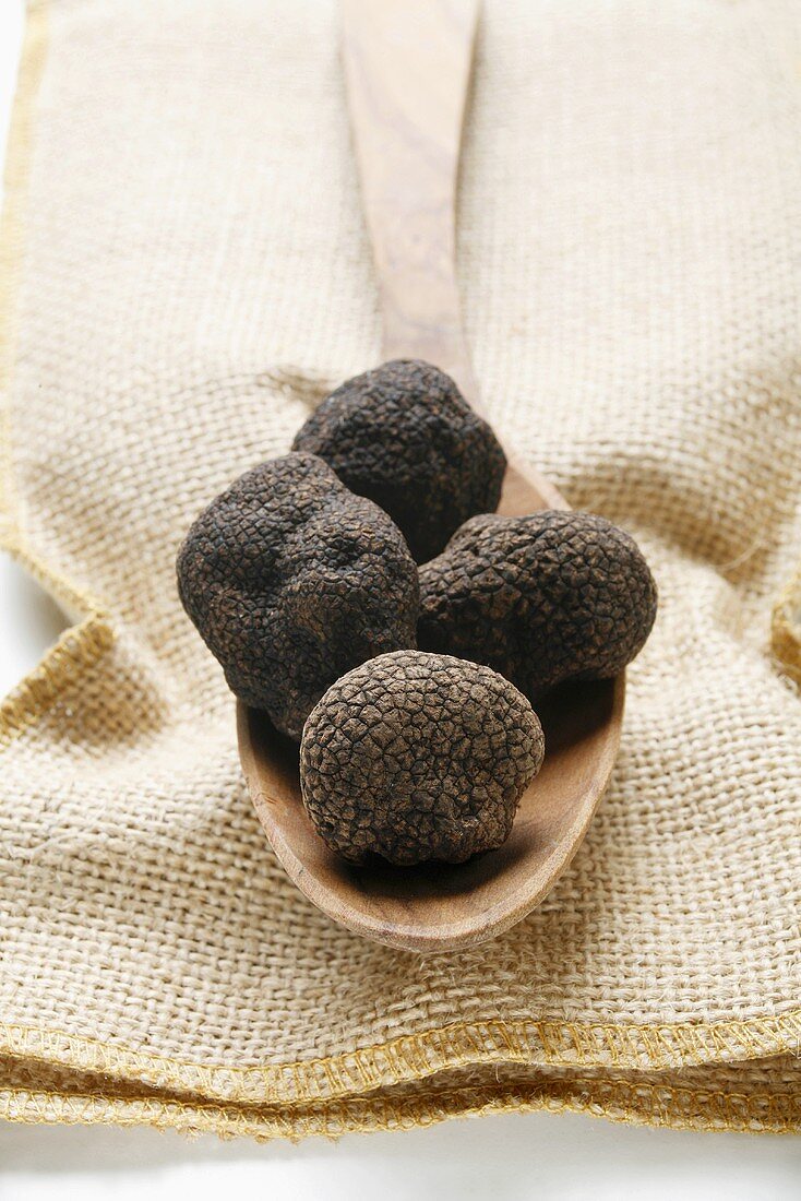 Black truffles (Chinese truffles) on wooden spoon on jute sack