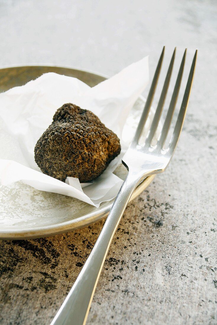 Black truffle (Perigord truffle) on plate with fork