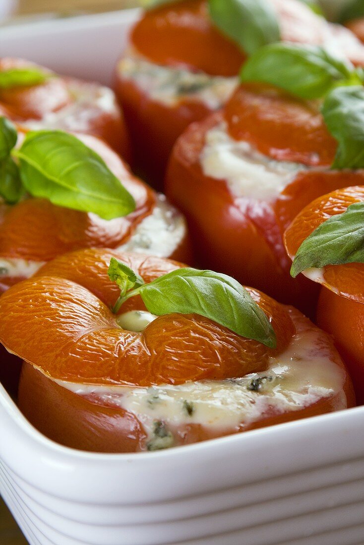 Baked tomatoes stuffed with cheese and garnished with basil