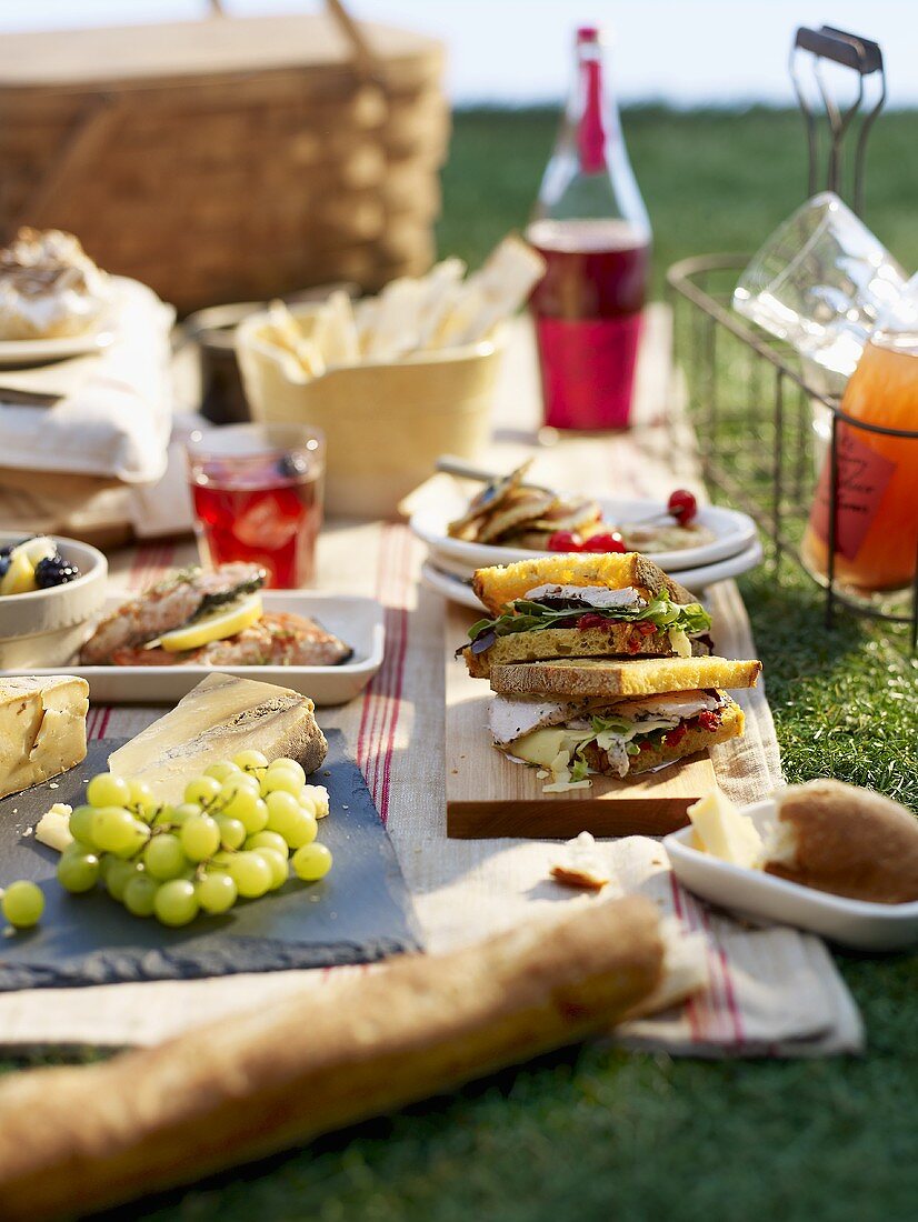 Picknick mit Sandwiches im Gras