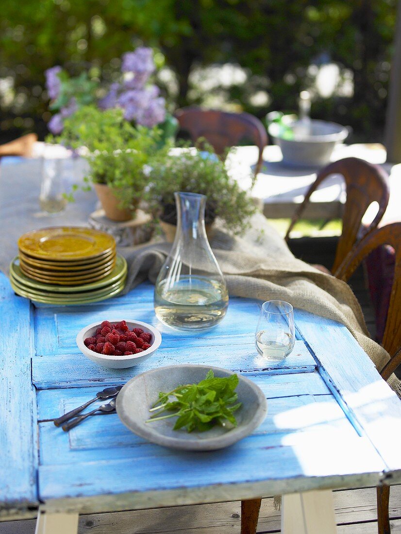 A laid table in a garden