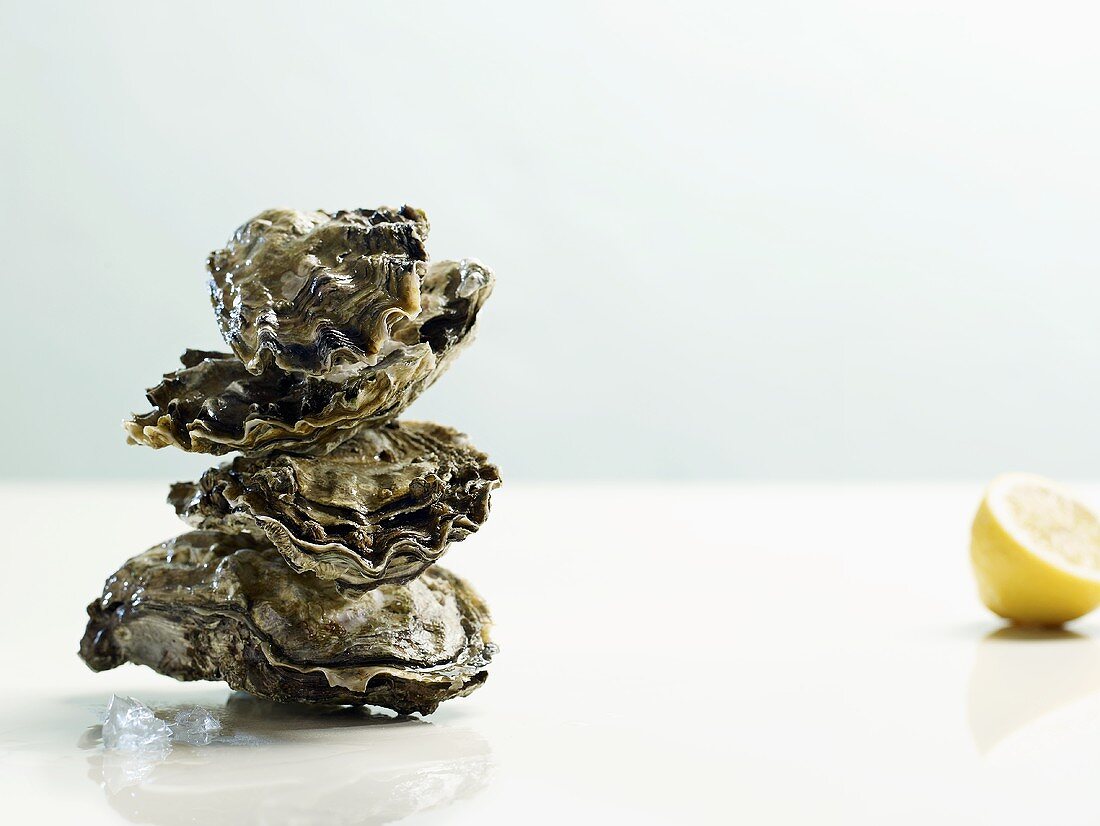 Tower of oysters