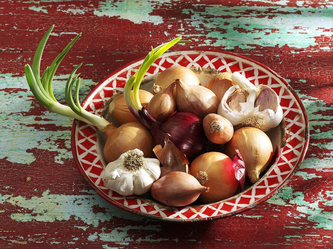 Onions, shallots and garlic on tin plate