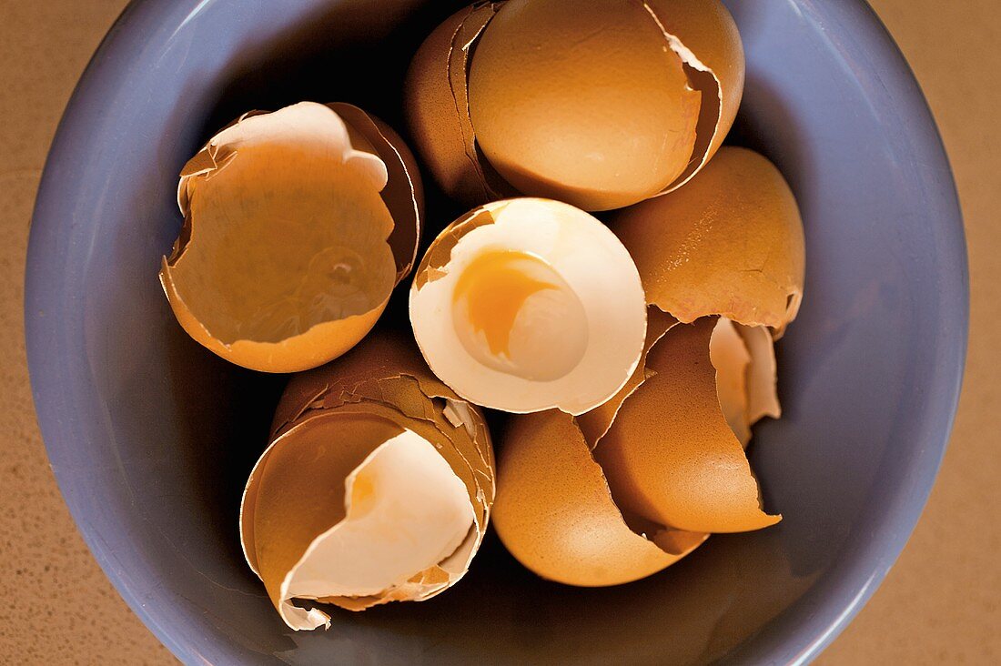 Eggshells in a blue dish