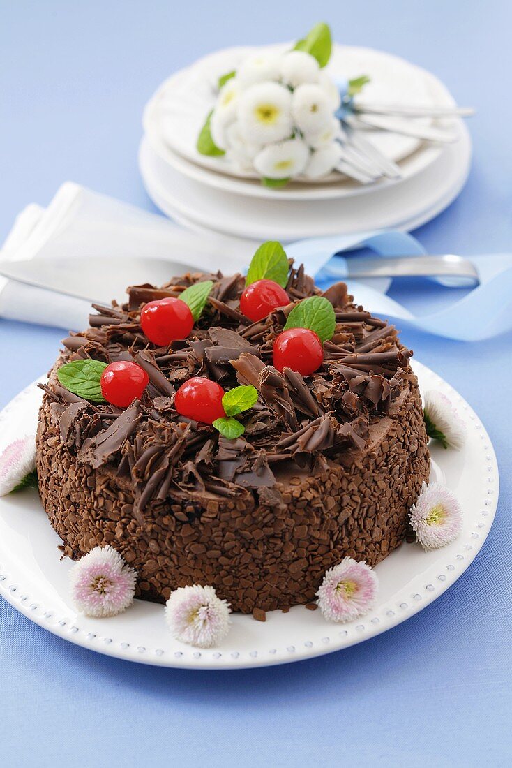 Schokoladenkuchen mit Kirschen, dekoriert mit Gänseblümchen