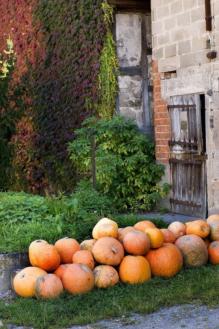 Pumpkins in grass in front of a building