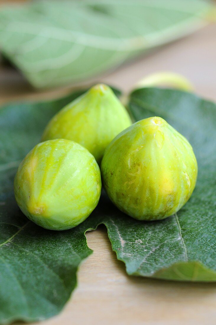 Fresh green figs on a fig leaf