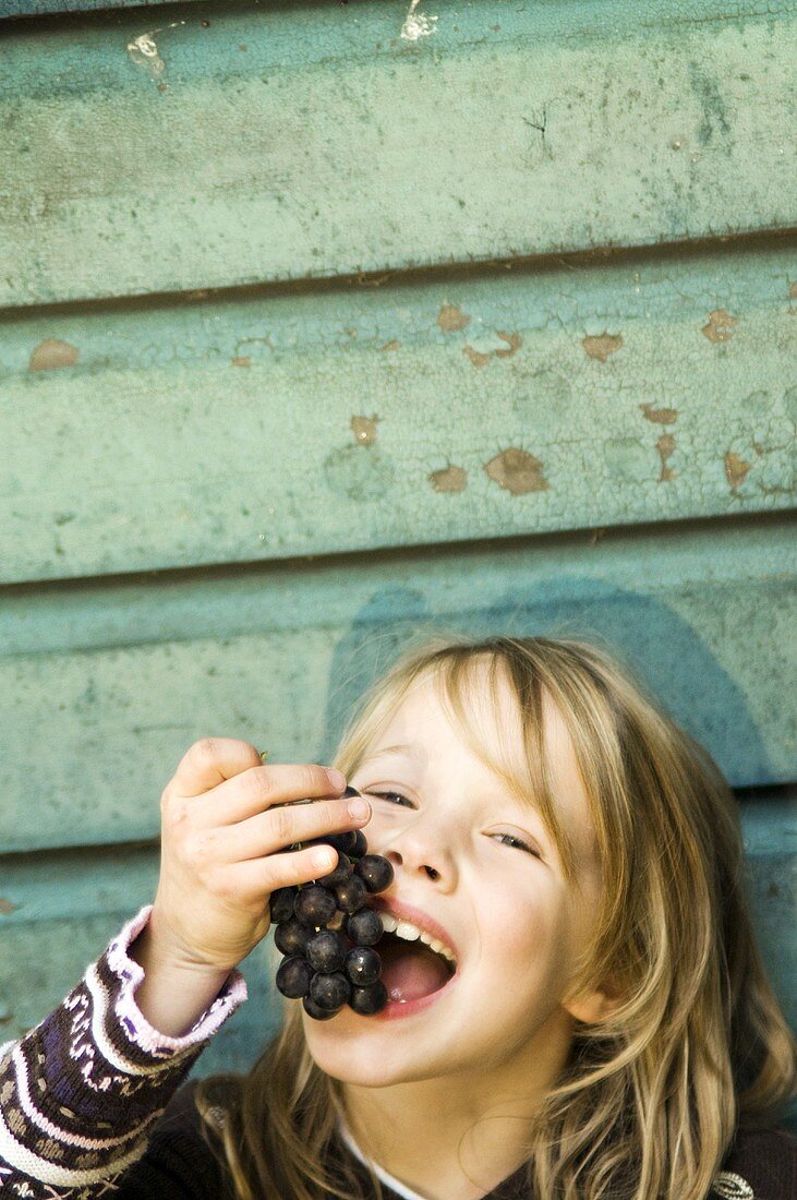 Little girl eating grapes