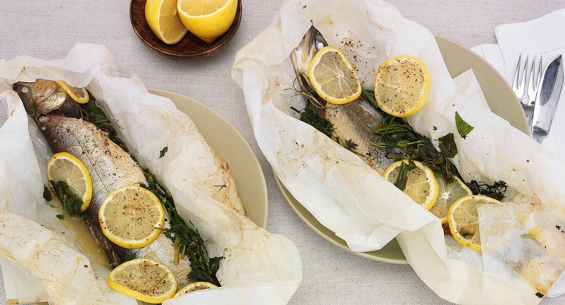 Fish in parchment paper