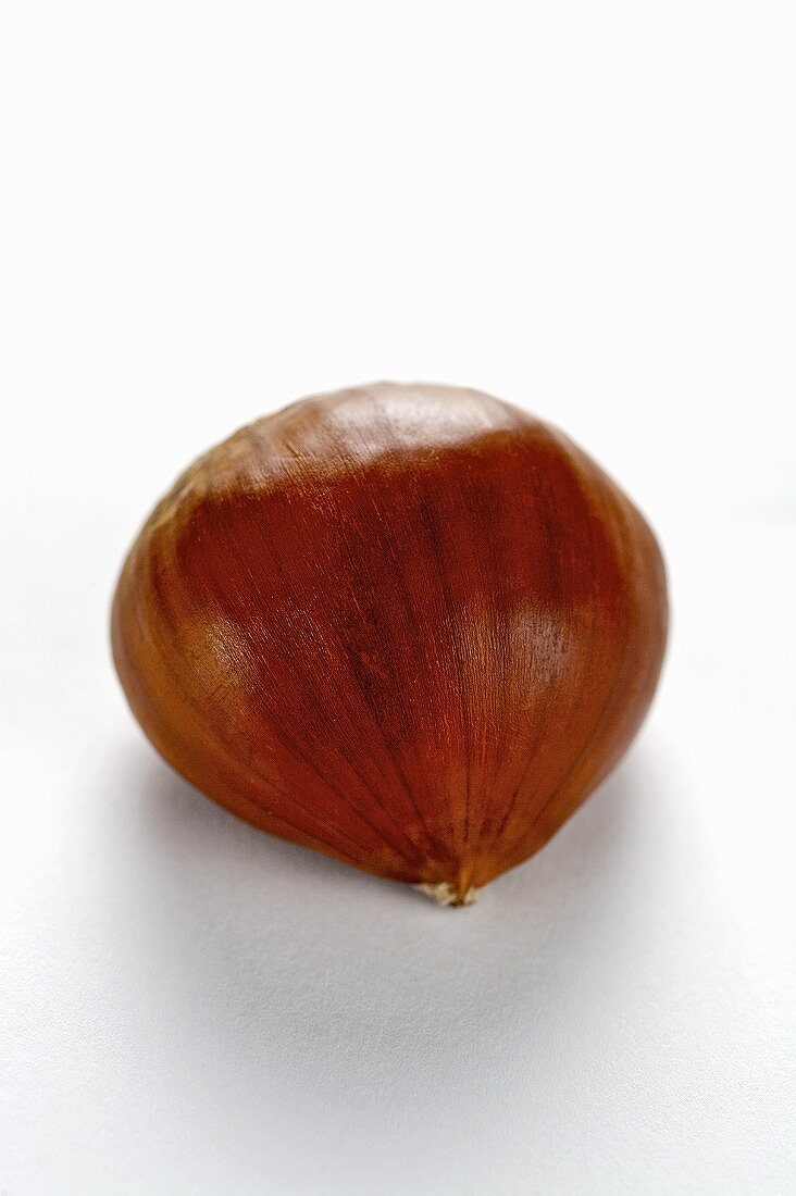 A sweet chestnut