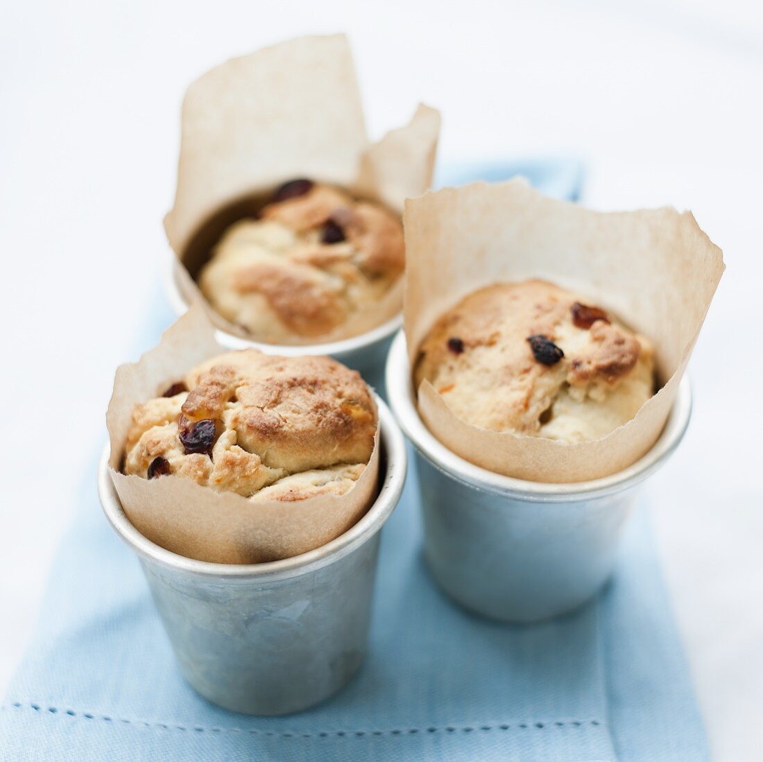 Raisin buns in baking tins