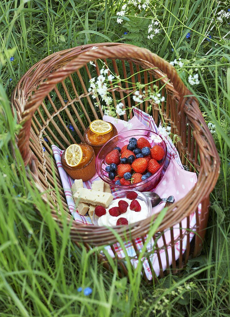 Basket of desserts in grass