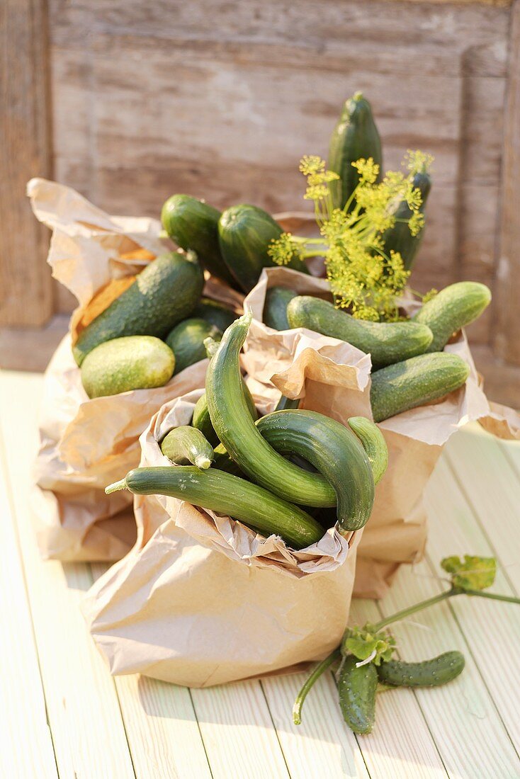 Various types of cucumber in paper bags