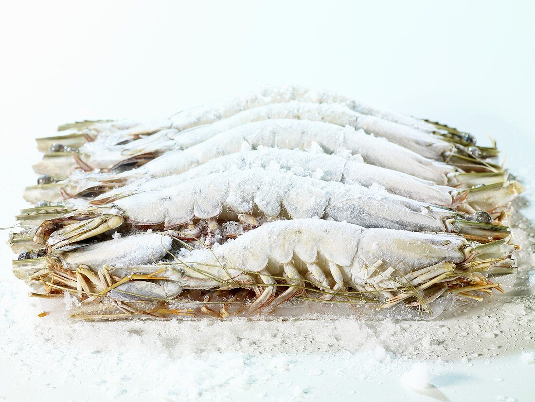 Frozen king prawns