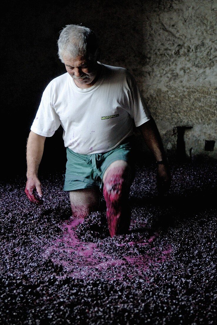 Mann beim Auspressen von Wein nach traditionellem Verfahren