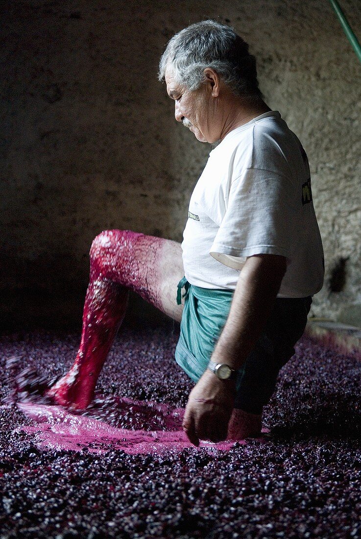 Mann beim Auspressen von Wein nach traditionellem Verfahren