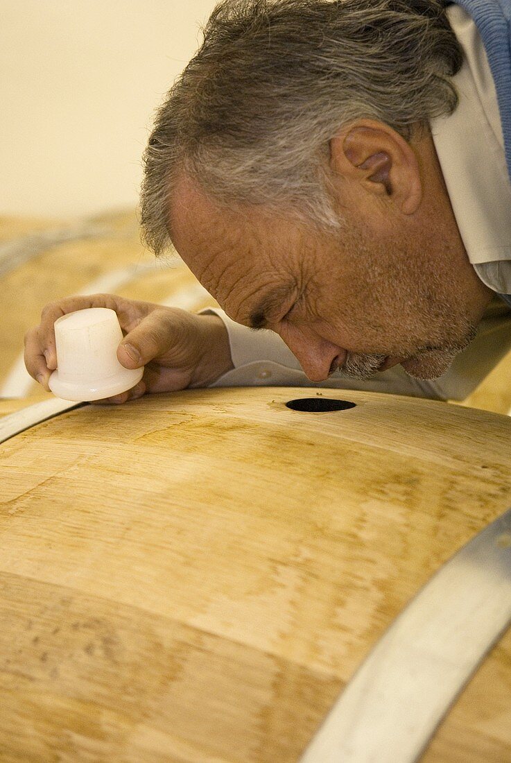 Luis Pato bei Geruchsprobe, Quinta da Cha winery, Portugal