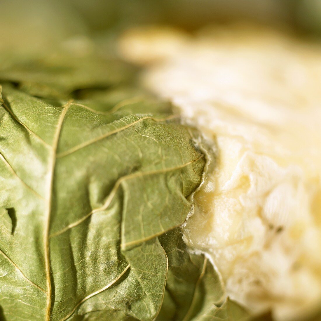 Cheese with chestnut leaf