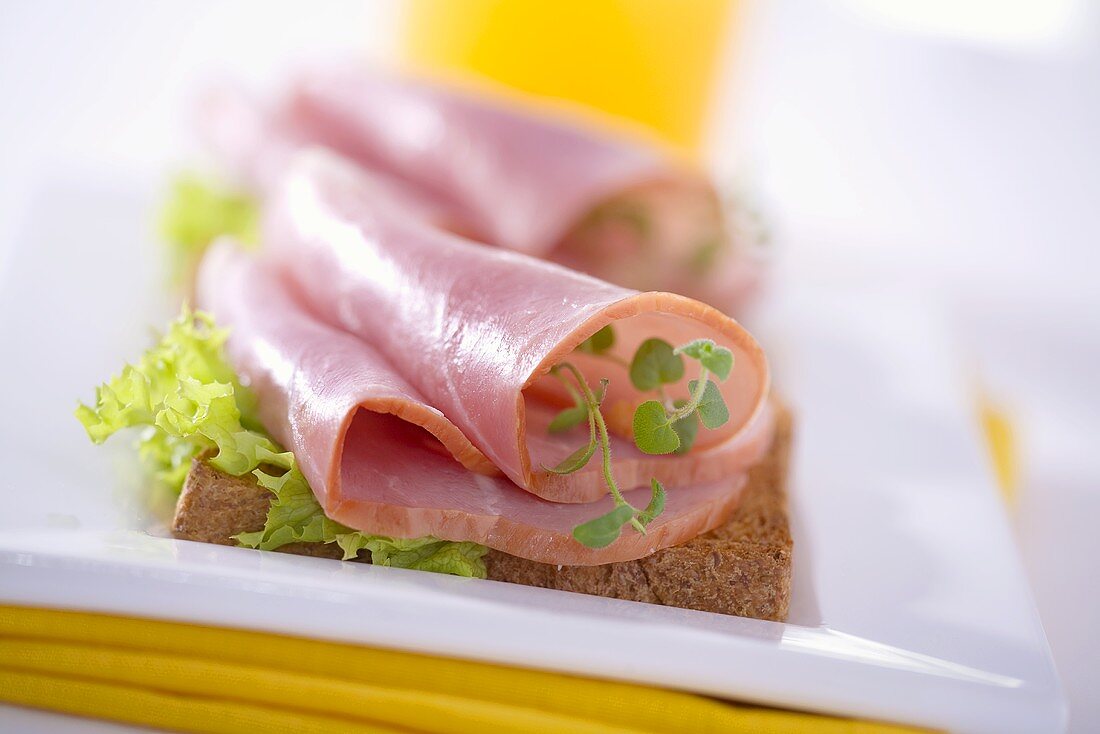 Vollkornbrot mit Schinken, Blattsalat und Kresse