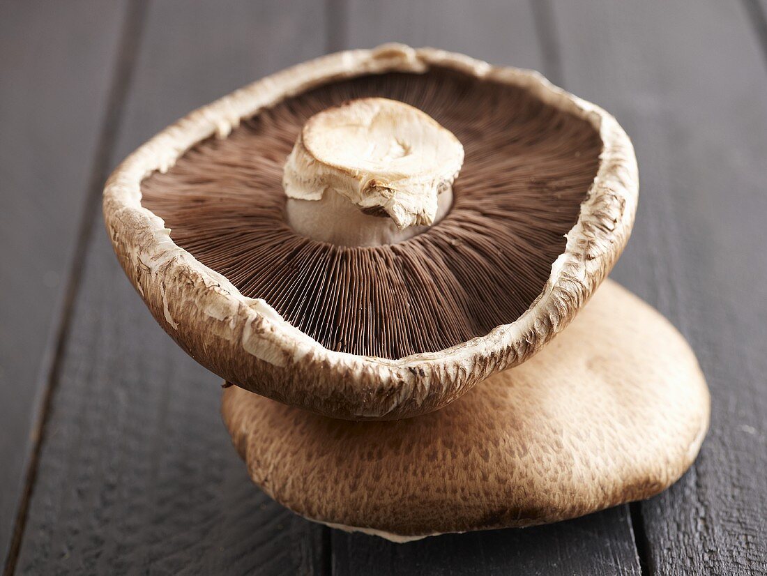 Two chestnut mushrooms