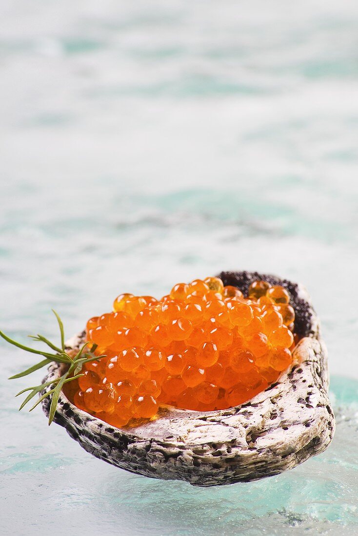 Salmon caviar in a shell