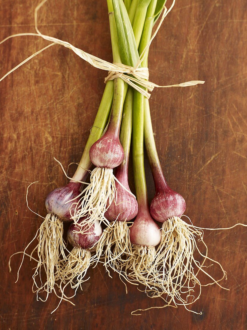 Fresh garlic, tied together
